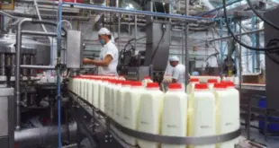 SE NECESITA URGENTE 53 EMPACADORES DE YOGURT|| URGENTE