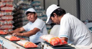 SE NECESITA 63 PERSONAS URGENTE PARA EMPACADO Y DISTRIBUCION DE ARROZ