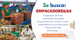 + DE 250 VACANTES PARA EMPACADO DE PRODUCTOS | POSTULA YA
